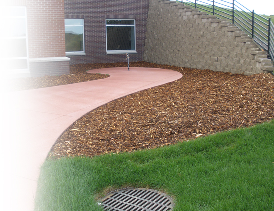 Site Design-ARCC img2