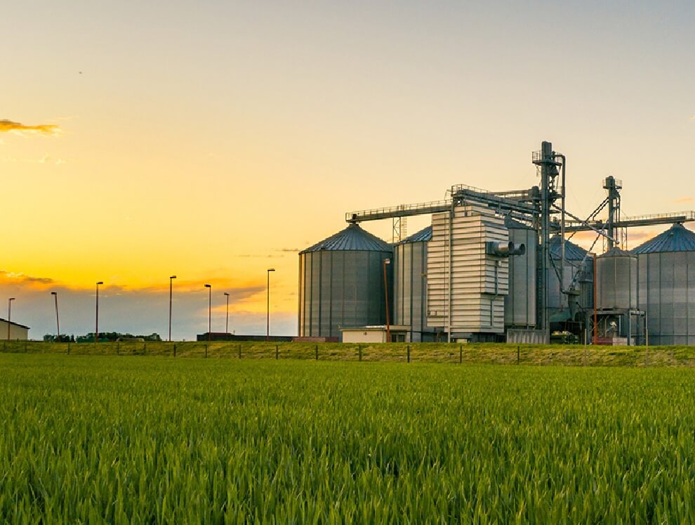Agricultural facility with large silos and processing equipment at sunset, surrounded by green fields.